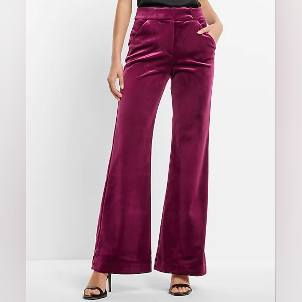 Express Velvet Wide-Leg Trousers in Berry